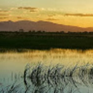 Meet your Posher, Salt,e